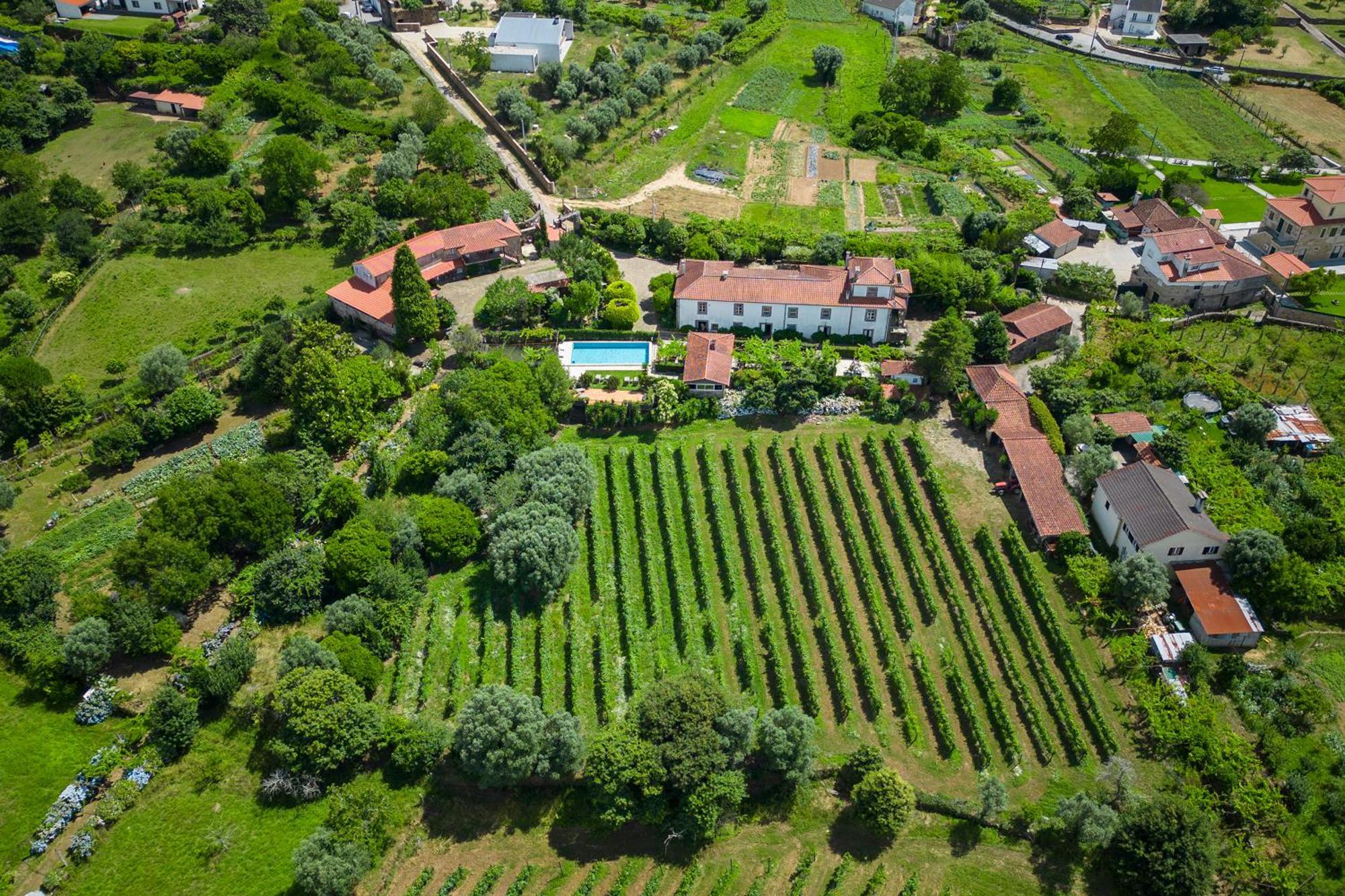 Quinta Da Aldeia Vendégház Ponte de Lima Kültér fotó