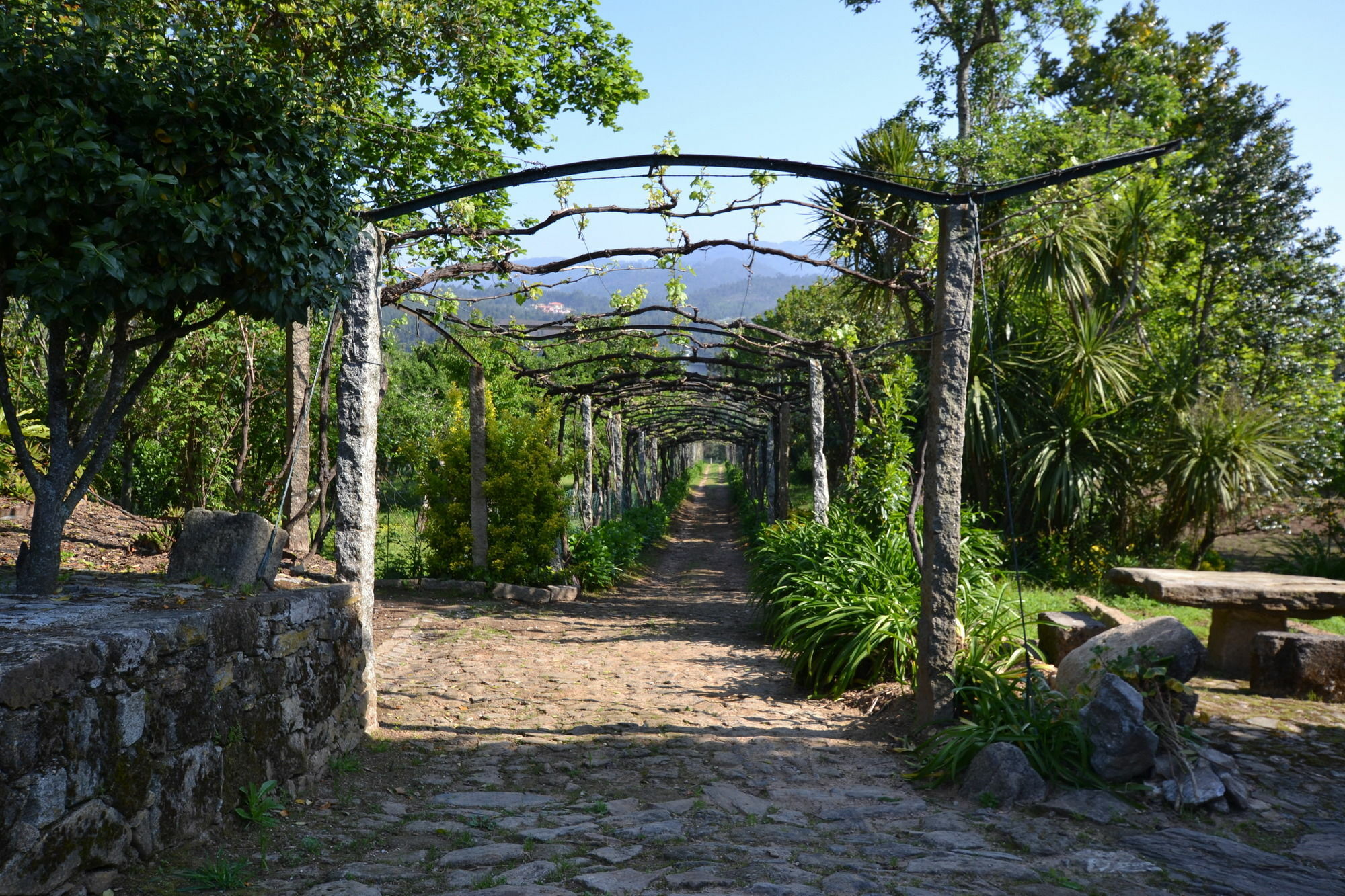 Quinta Da Aldeia Vendégház Ponte de Lima Kültér fotó